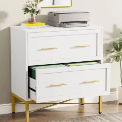Cheap Tribesigns 2 - Drawer File Cabinet, Lateral Storage Cabinet Printer Stand