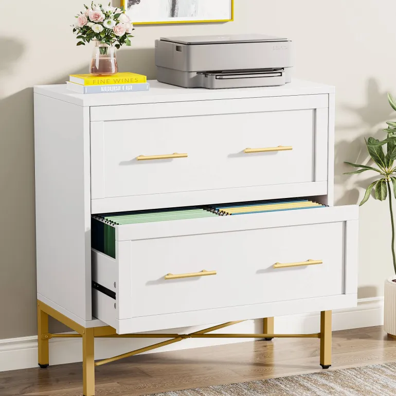 Cheap Tribesigns 2 - Drawer File Cabinet, Lateral Storage Cabinet Printer Stand