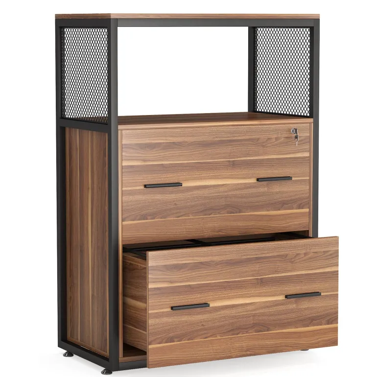 Discount Tribesigns 2 - Drawer File Cabinet, Letter/Legal / A4 Size Filing Cabinet with Lock