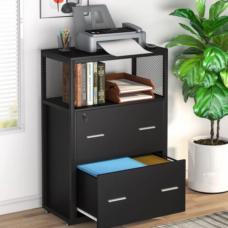Discount Tribesigns 2 - Drawer File Cabinet, Letter/Legal / A4 Size Filing Cabinet with Lock