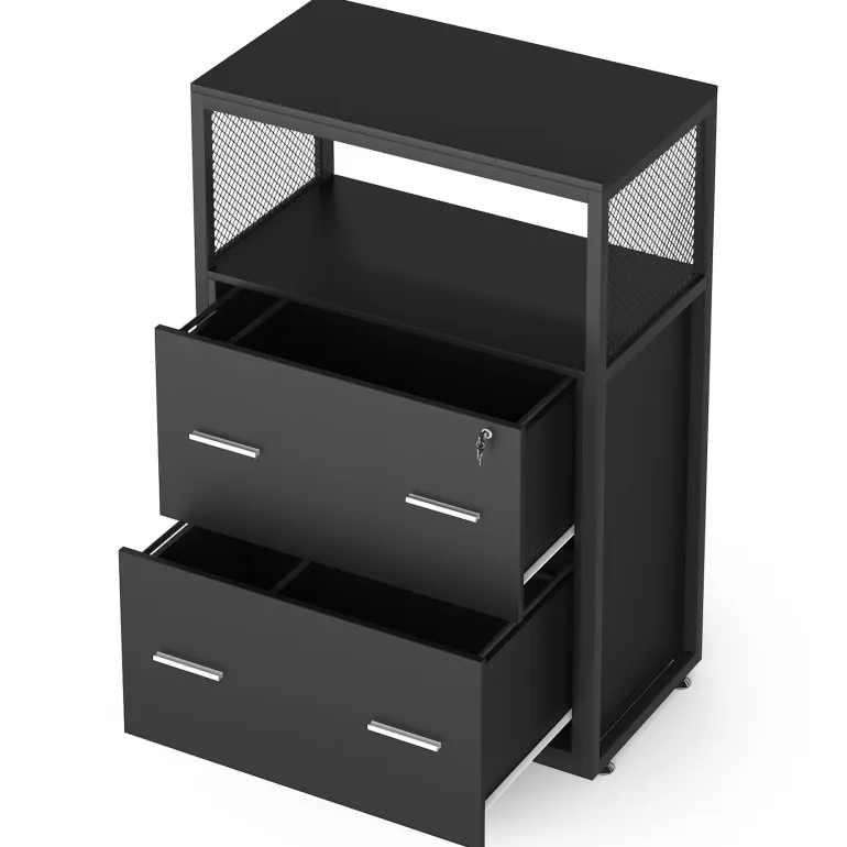 Discount Tribesigns 2 - Drawer File Cabinet, Letter/Legal / A4 Size Filing Cabinet with Lock