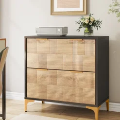 Hot Tribesigns 2 - Drawer File Cabinet, Modern Filing Cabinet with Adjustable Hanging Bar