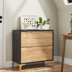 Hot Tribesigns 2 - Drawer File Cabinet, Modern Filing Cabinet with Adjustable Hanging Bar