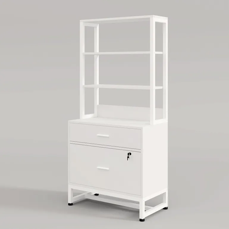 Hot Tribesigns 2-Drawer File Cabinet, Vertical Filing Cabinet with Lock & Bookshelf