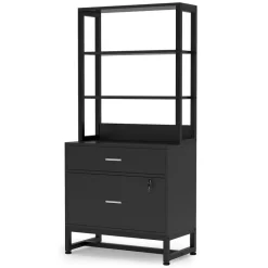 Best Sale Tribesigns File Cabinet, 2 Drawers Letter Size Filing Cabinet Printer Stand