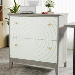 Cheap Tribesigns Lateral File Cabinet, Modern Filing Storage Cabinet with 2 Drawers