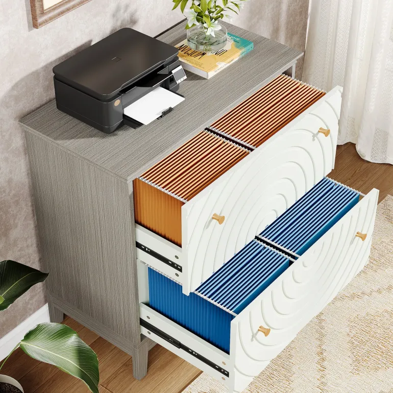 Cheap Tribesigns Lateral File Cabinet, Modern Filing Storage Cabinet with 2 Drawers
